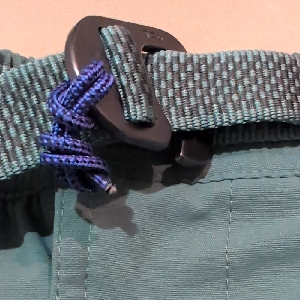Nike ACG Shorts with Adjustable Belt XS - Picture 4 of 12